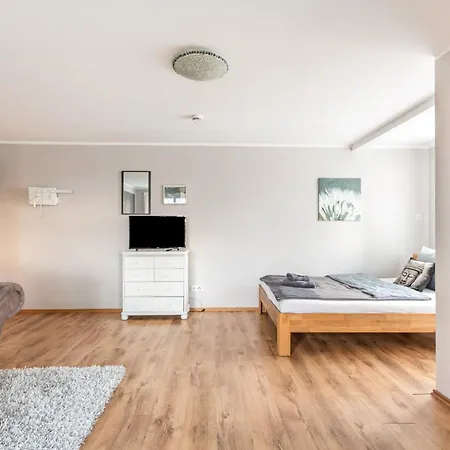 Blauquarz Und Rauchquarz Reußenköge